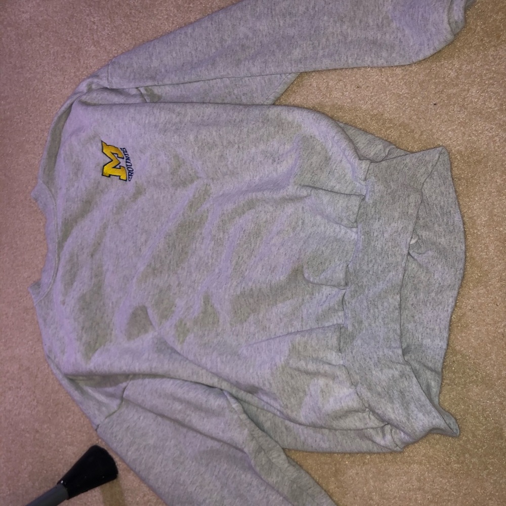 Michigan sweater